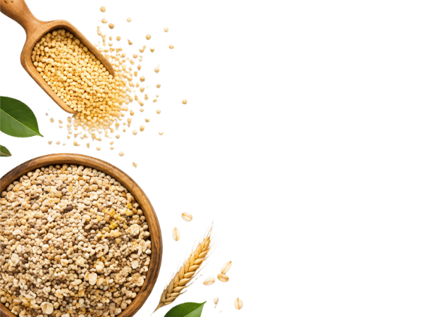 Gokul Gopal Natural Food